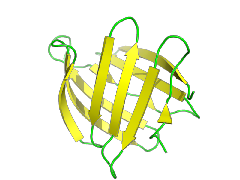 Ribbon image for 1sa8