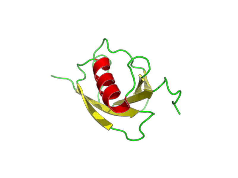 Ribbon image for 1t0y