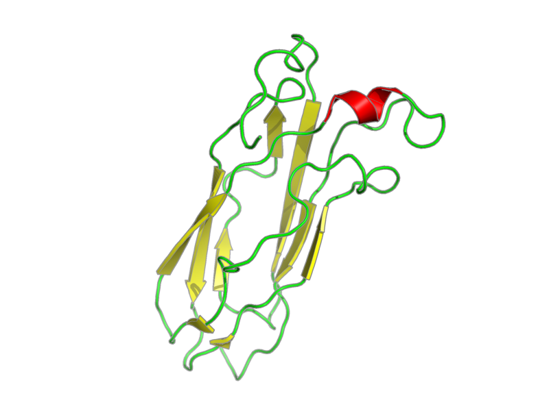 Ribbon image for 1so9