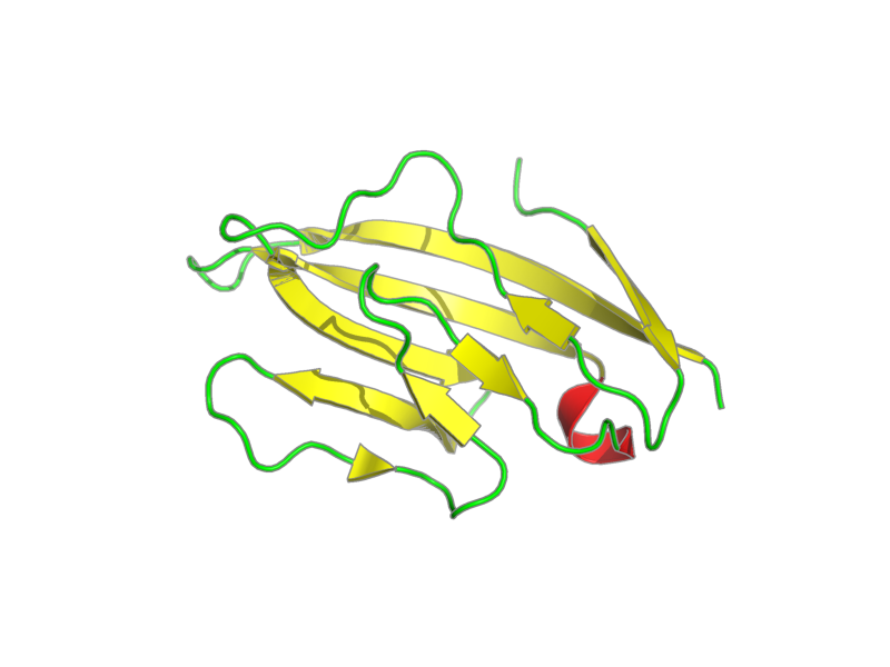 Ribbon image for 1t6w