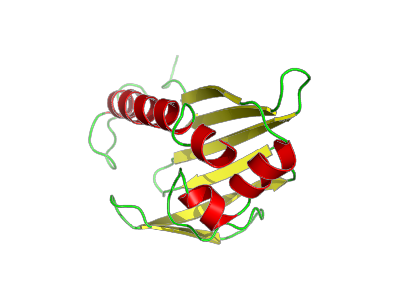 Ribbon image for 1xn5