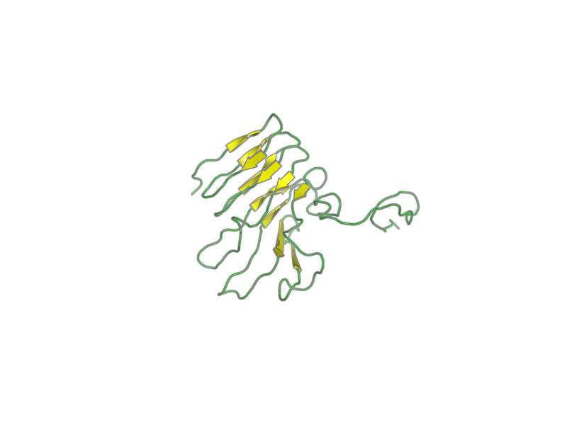 Ribbon image for 2agm