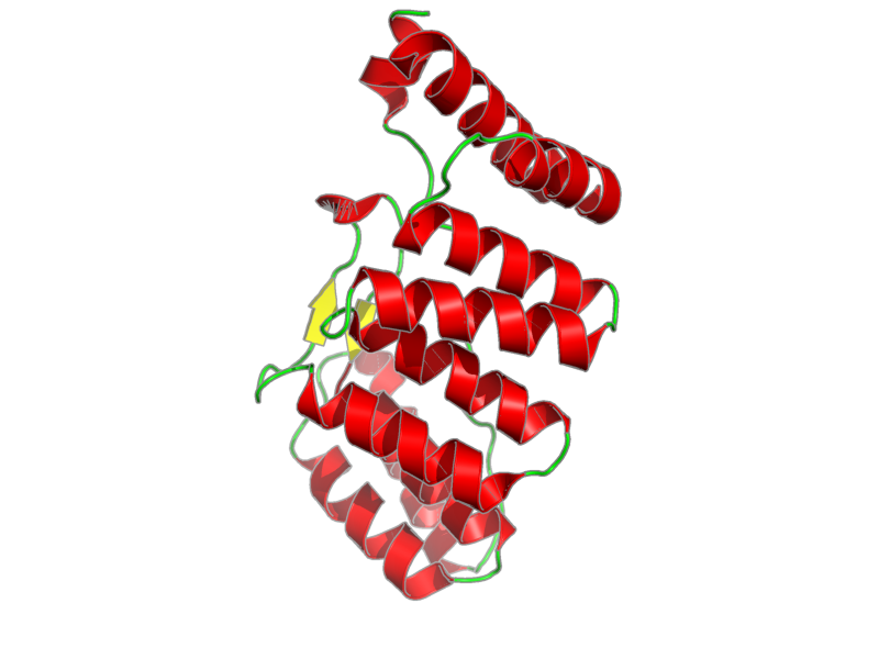 Ribbon image for 1hh8