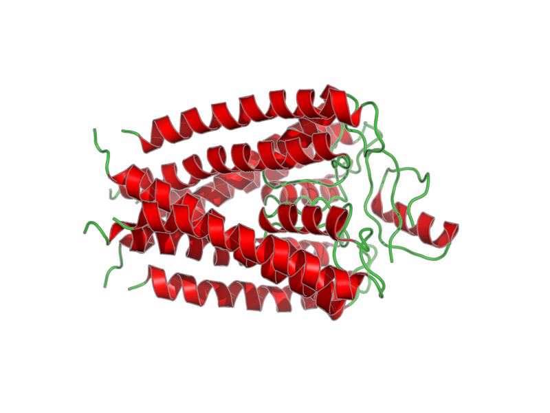 Ribbon image for 2a9h