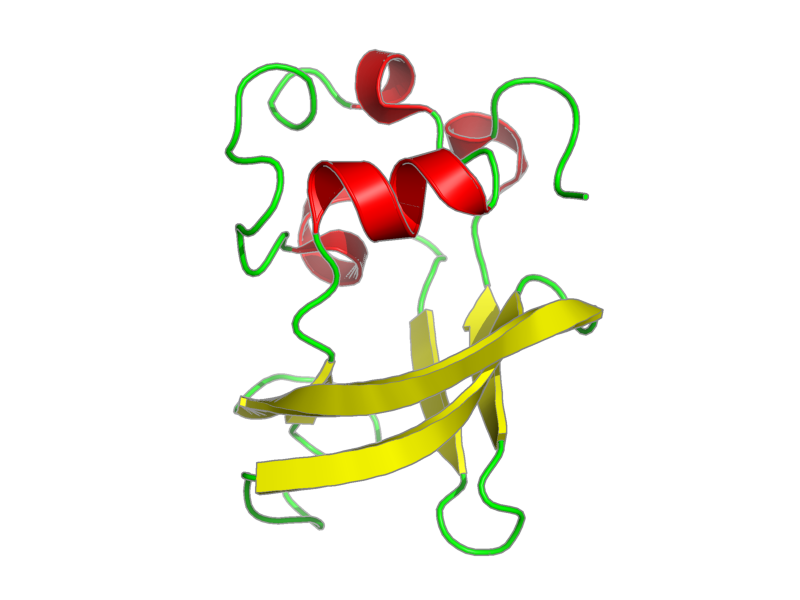 Ribbon image for 1zdx