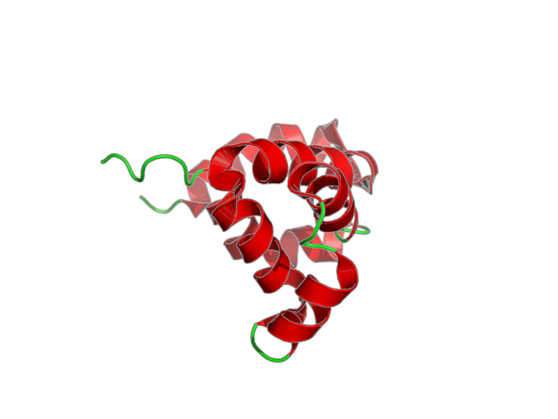 Ribbon image for 2b1w