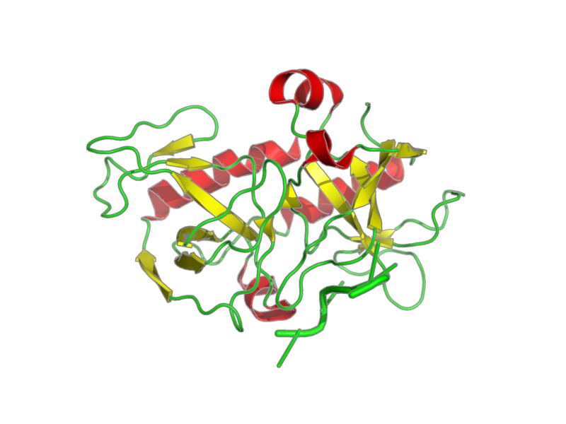 Ribbon image for 2c06
