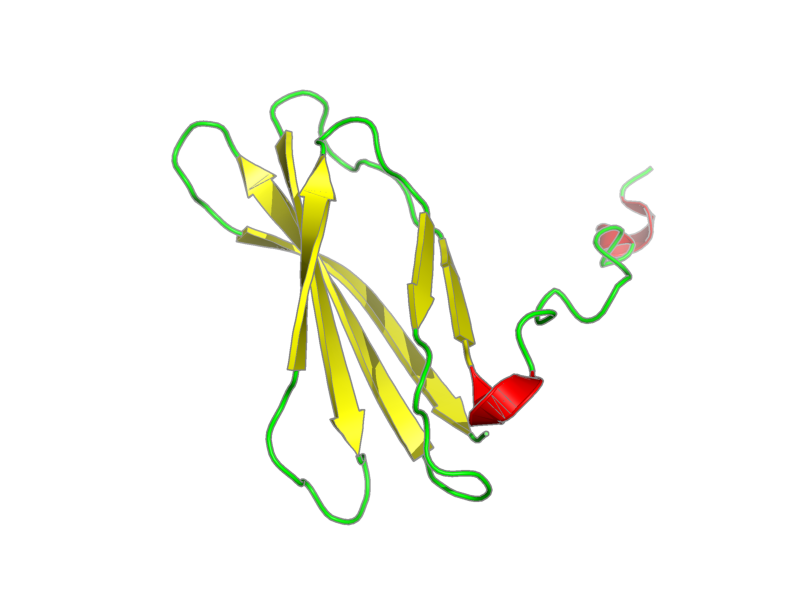 Ribbon image for 2h41