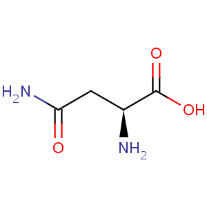 L_asparagine