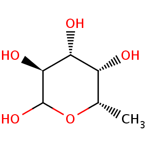 L_fucose