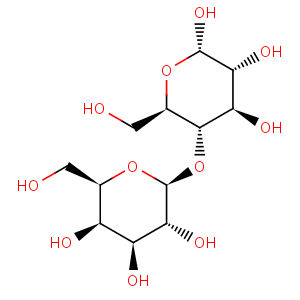 lactose