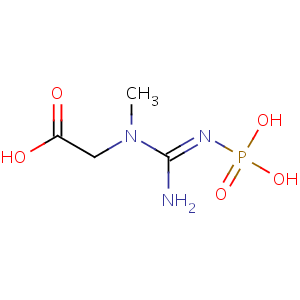 creatine_phosphate