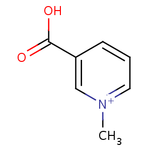 trigonelline