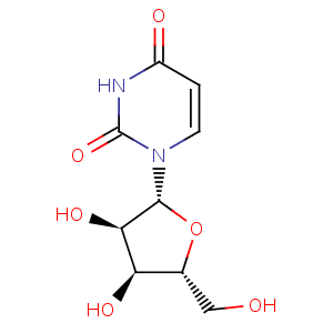 uridine