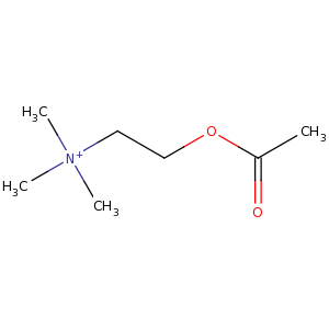 acetylcholine