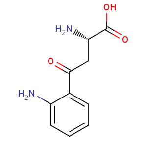 L_kynurenine
