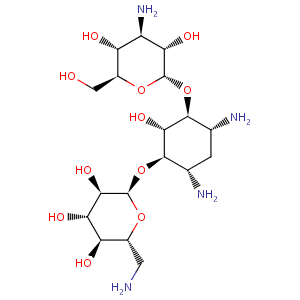 kanamycin