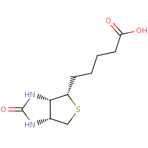 biotin