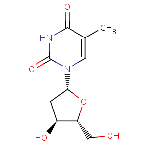 thymidine