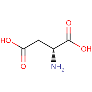 D_Aspartate