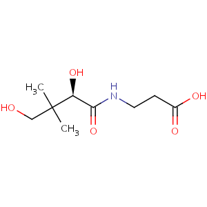 Pantothenate