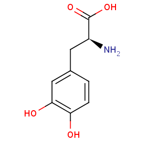 3,4-Dihydroxy-L-phenylalanine