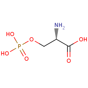 O-Phospho-L-serine