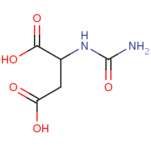 Ureidosuccinic