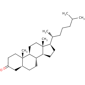 5-alpha-cholestan-3-one
