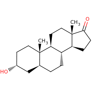 androsterone