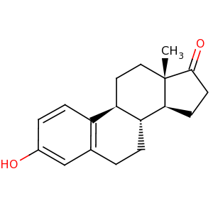 estrone