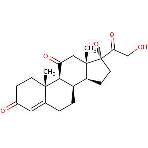 cortisone