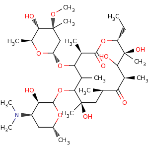 erythromycin