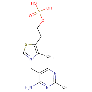 thiamine_monophosphate
