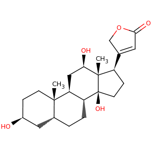 digoxigenin