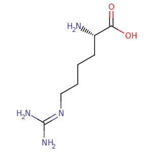homoarginine
