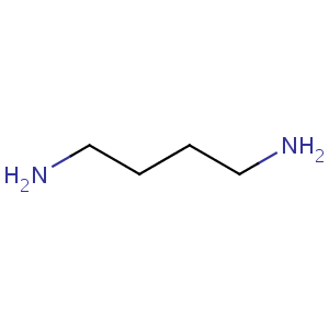 putrescine