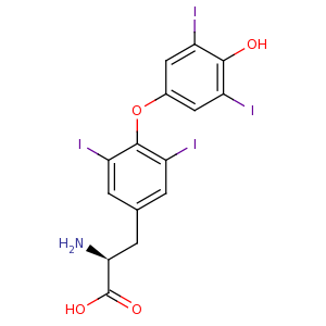 L_thyroxine