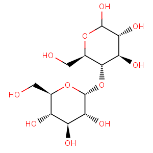 D_maltose
