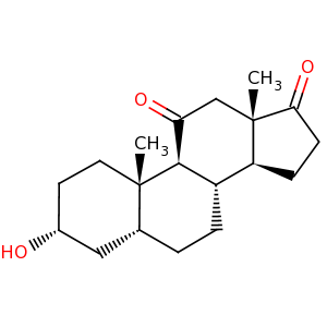 11_ketoetiocholanolone