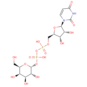 UDP_galactose