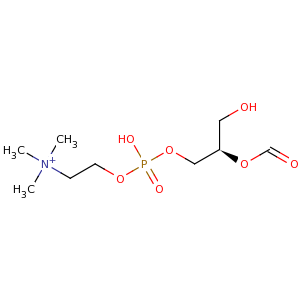 L_alpha_lysophosphatidylcholine