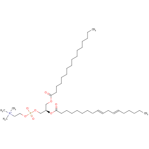 L_alpha_Phosphatidylcholine