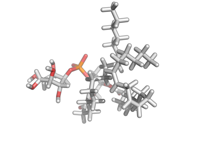 L-alpha-phosphatidylinositol