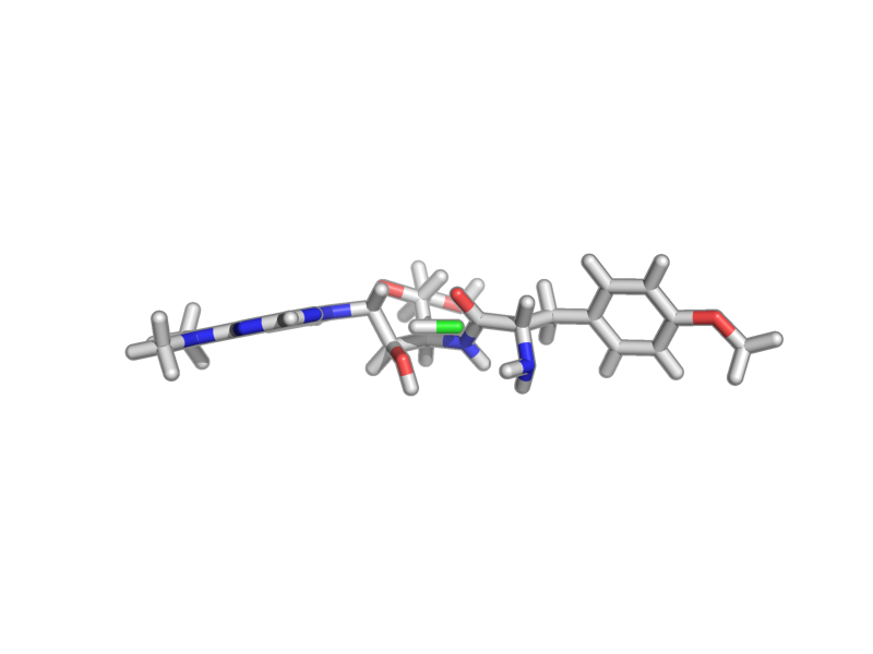 Puromycin