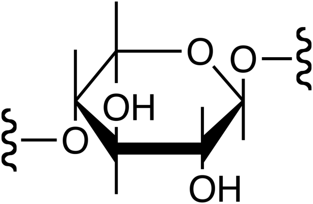 Xylan image