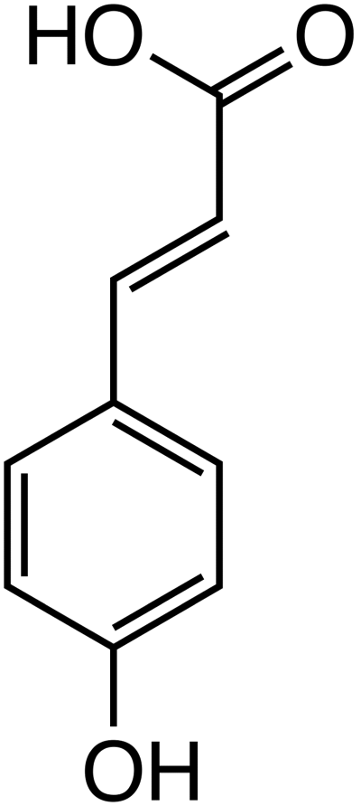 P-coumaric Acid image