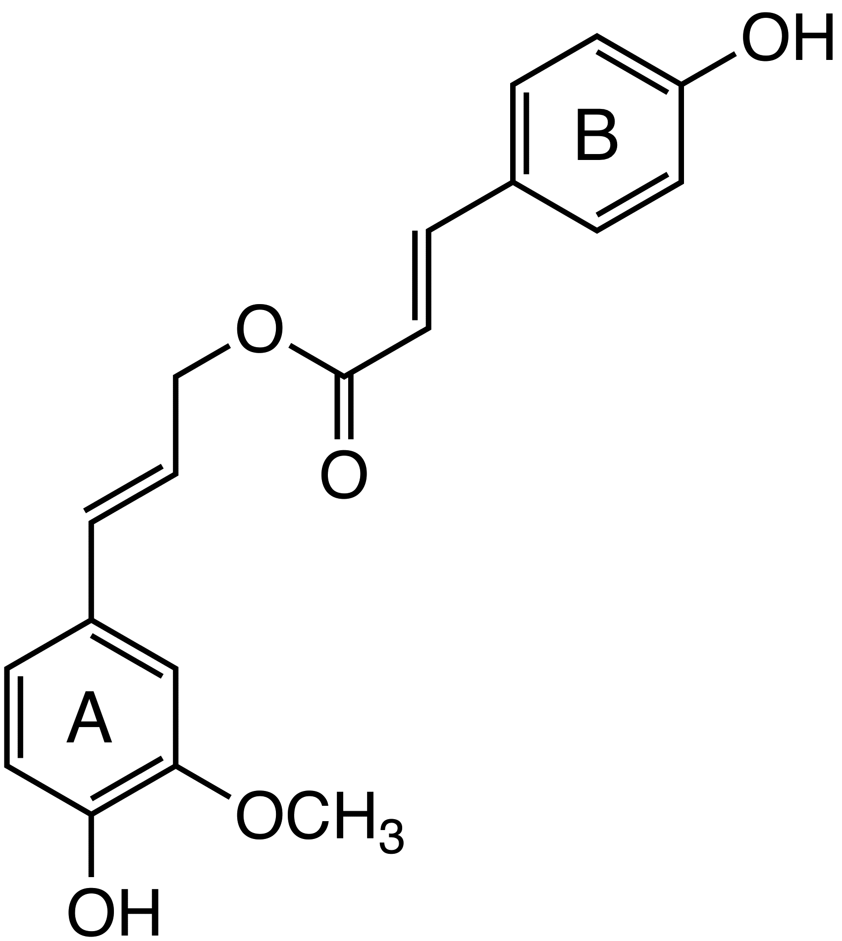 Coniferyl P-coumarate image