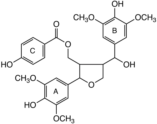 SP-(8-8)-S image