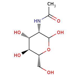 N_acetyl_D_mannosamine